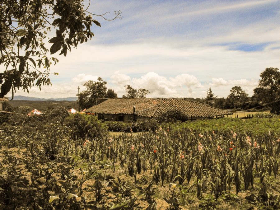 Silleteros, mística y tradición que se pasa de generación en generación con gran Orgullo 11 Finca Museo La Alquería del Silletero