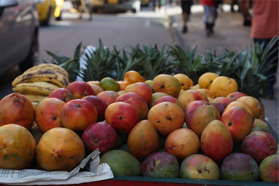 Le Tour Medellín, el recorrido turístico que vuelve mierda a Pablo Escobar 7 Frutas y colores de Medellín