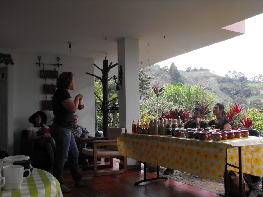 Entre bosques, aguas, canalones y café: las aves 6 Margarita Jiménez Productos Frescos El Roble