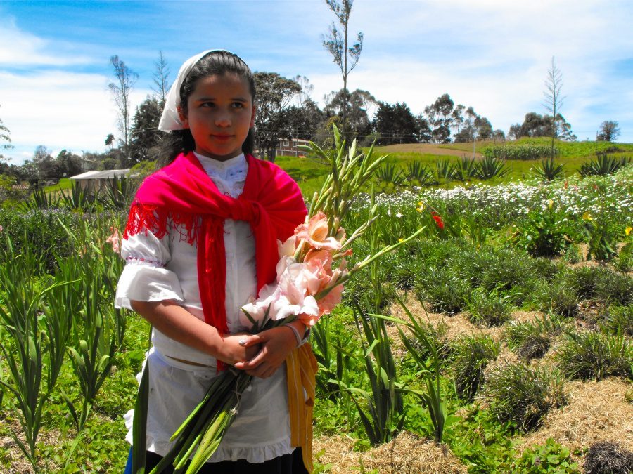 Silleteros, mística y tradición que se pasa de generación en generación con gran Orgullo 5 Niña silletera