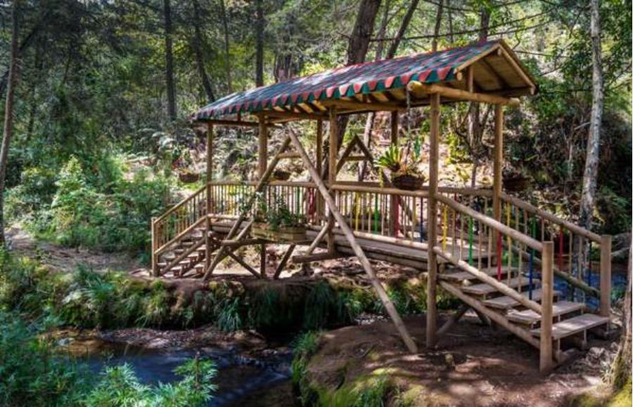 Guía de los sitios turísticos y de interés que debes visitar en Medellín 23 Naturaleza