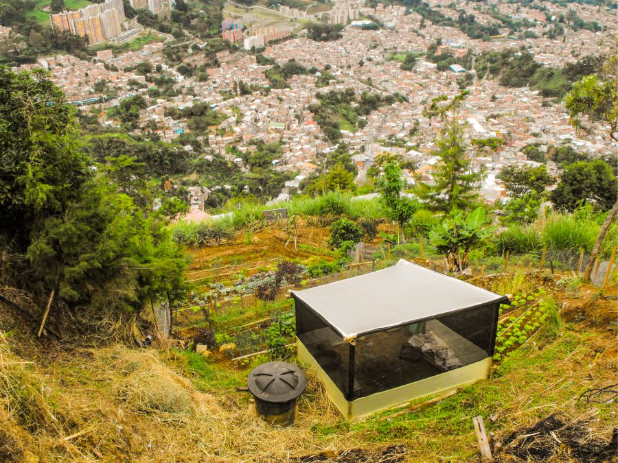 La vuelta en la Sierra un recorrido por las calles de un nuevo barrio de Medellín 12 Huertas comunitarias en la Sierra