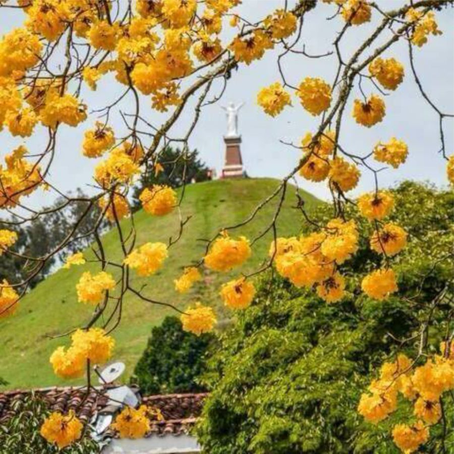 Jericó Antioquia la Atenas del Suroeste que debes visitar 4 Naturaleza en Jerico Antioquia