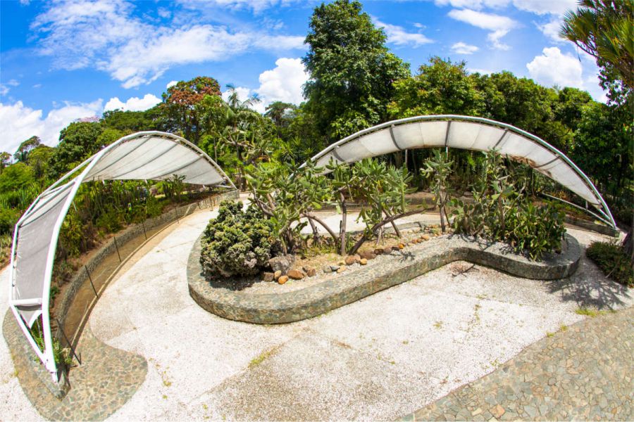 Carabobo norte, un espacio renovado para el disfrute de la familia Antioqueña 8 Jardín Botánico Joaquín Antonio Uribe en Medellin