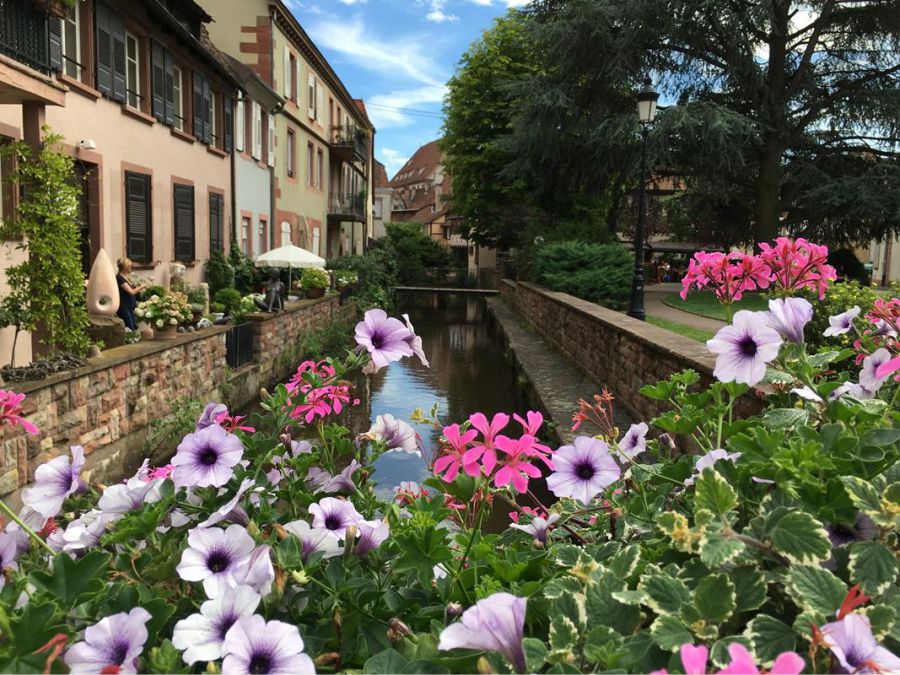 Jardines