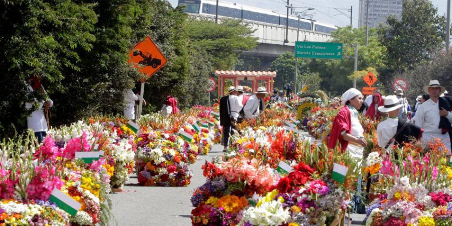 Medellín sí tendrá Feria de las flores, Daniel Quintero 2 Desfile de silleteros evento principal de la feria de las flores