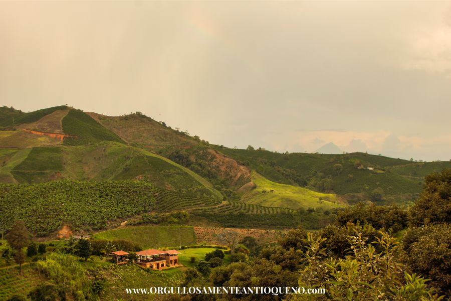 Montañas de Salgar Antioquia