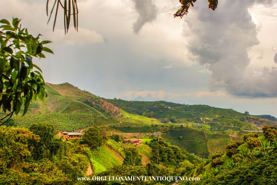 Paisaje Cafetero en Salgar Antioquia