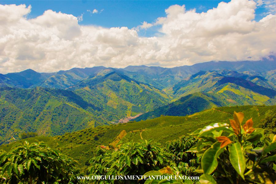Salgar Antioquia