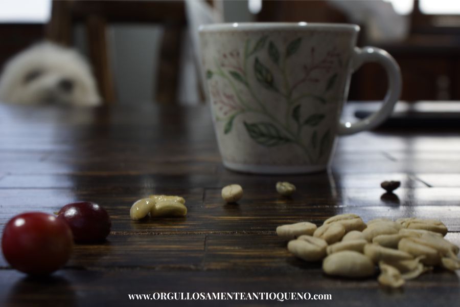 Tomand cafe de origen