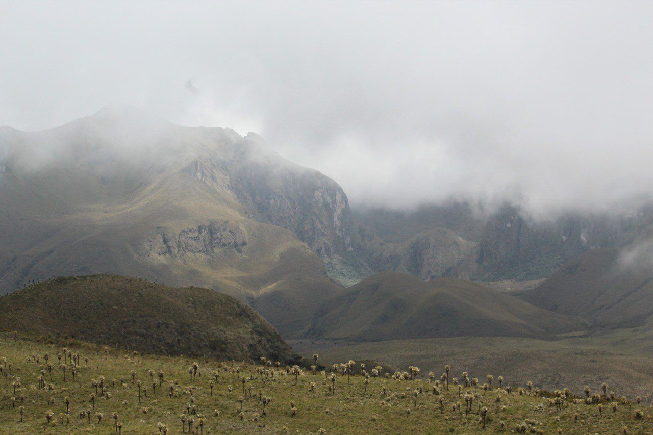 La Montaña, punto mágico en la creación 3 71e95543 264b 46c5 863e 6407c7663501