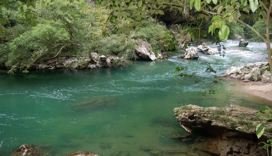 Reserva natural Río Claro, área protegida para la conservación de la flora y fauna en Antioquia 15 Boca caiman reserva rio claro