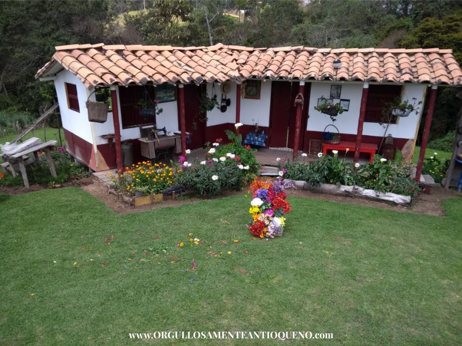 Los silleteros de Medellín se reinventaron y ahora el plan silletero es virtual 9 Finca Los Londoño