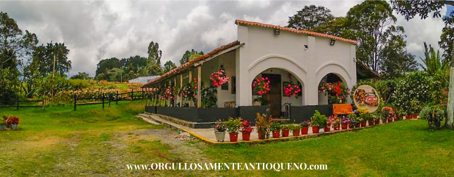 Los silleteros de Medellín se reinventaron y ahora el plan silletero es virtual 8 Finca silletera Alquería del silletero