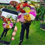 Los silleteros de Medellín se reinventaron y ahora el plan silletero es virtual