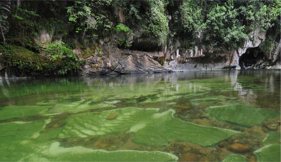 Reserva natural Río Claro, área protegida para la conservación de la flora y fauna en Antioquia 11 Playa manantial reserva natural rio claro
