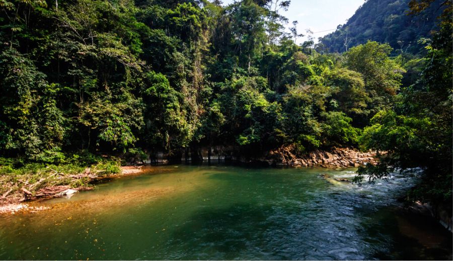 Reserva natural Río Claro, área protegida para la conservación de la flora y fauna en Antioquia 10 Playa marmol reserva natural rio claro 2