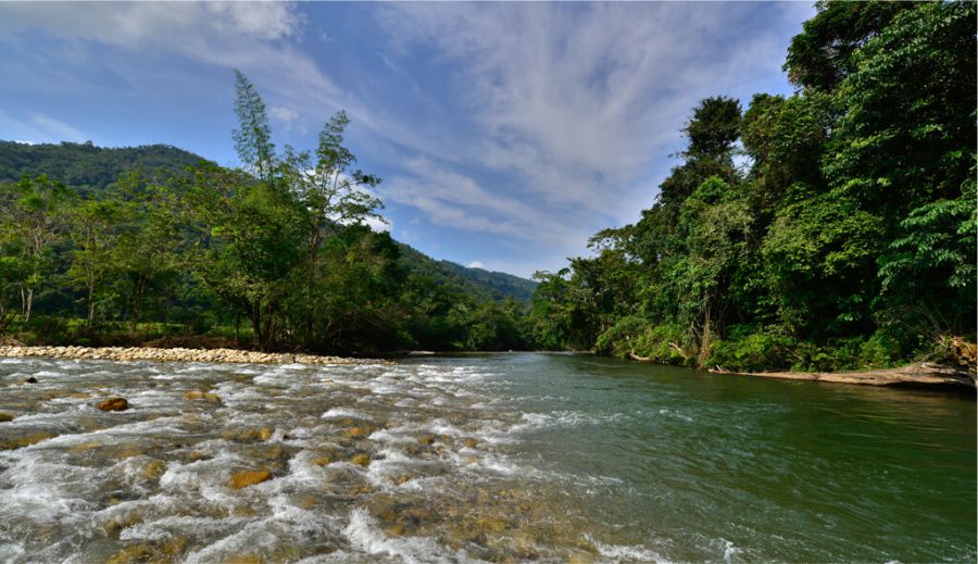 Reserva natural Río Claro, área protegida para la conservación de la flora y fauna en Antioquia 6 Río Claro area protegida