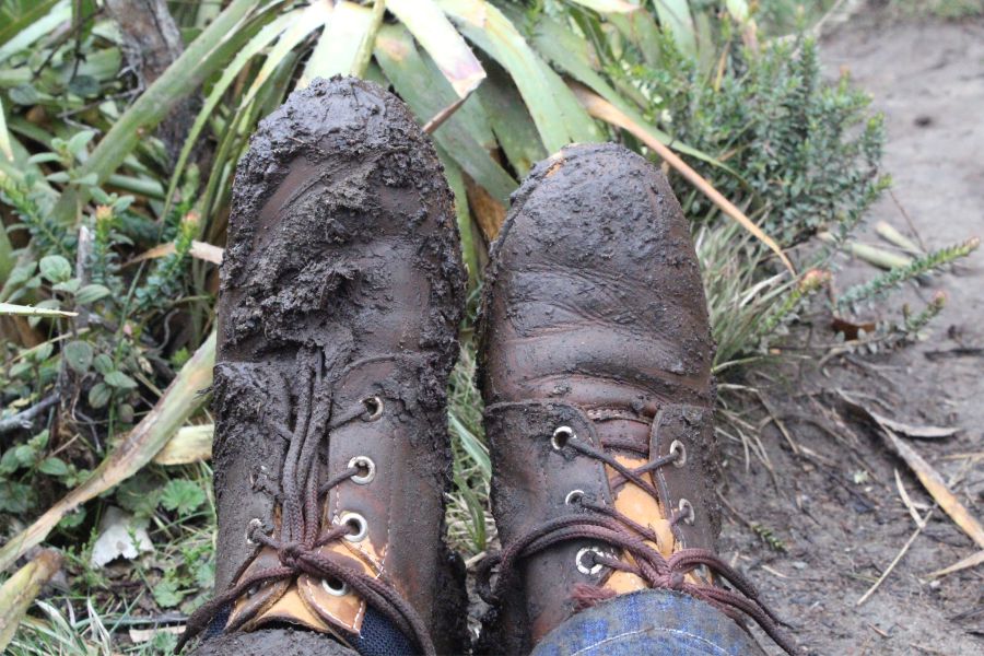 La Montaña, punto mágico en la creación 6 Zapatos