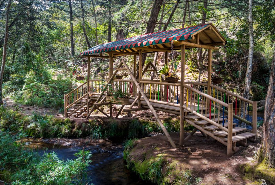 Medellín la ciudad que renació gracias a la pujanza y creatividad de su gente 14 Puente de madera en parque Arví - Foto: Istock