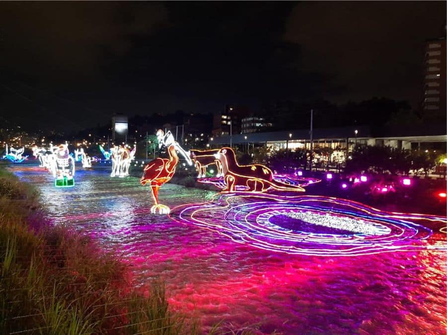 Alumbrados rio medellin 2020