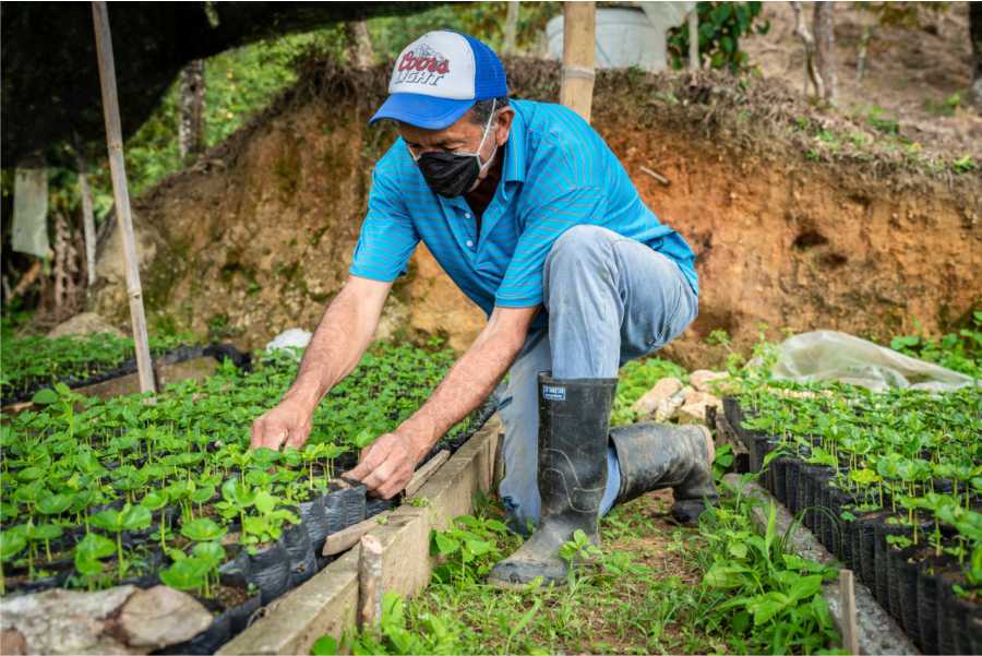 Campesino antioqueno