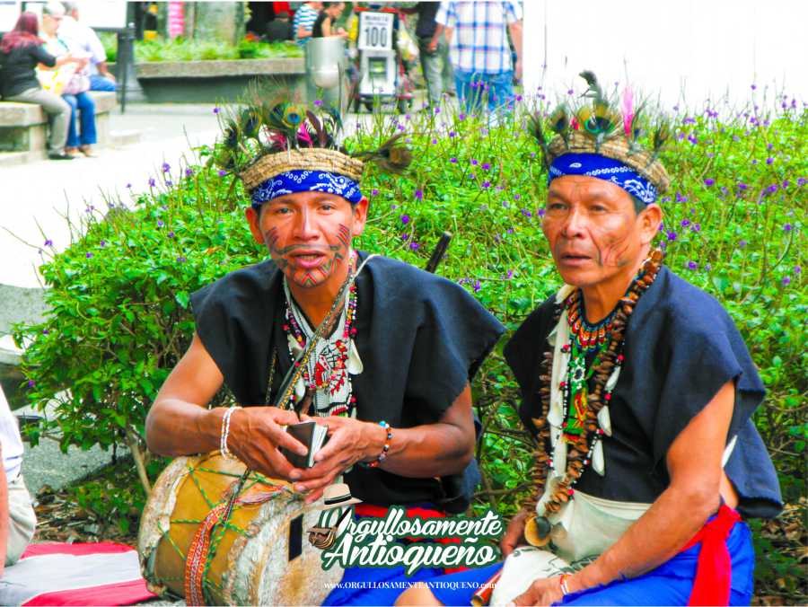 Cultura indigena