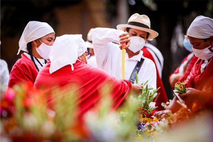 Qué hacer en Medellín en Semana Santa, aquí todos los planes de cultura y entreteniendo para la Semana Mayor 7 Silleteros en el pueblito paisa