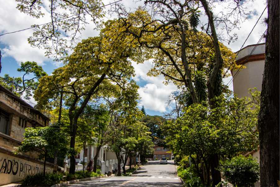 Con 24 recorridos temáticos, los habitantes de Medellín conocerán historias y lugares patrimoniales en el centro histórico de Medellín 2 Centro historico de Medellin