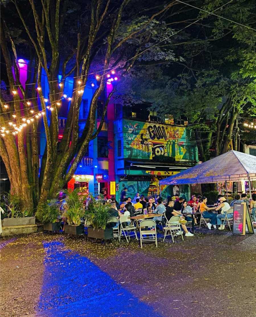 En el Día Mundial del Turismo Medellín y Antioquia se consolidan como el mejor destino turístico de Colombia 5 Turismo Medellin