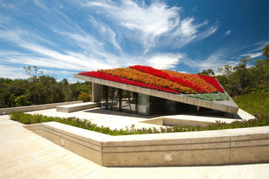 Los 10 lugares imprescindibles que deben visitar en su viaje a Medellín la Ciudad de la Eterna Primavera 7 Parque Arvi