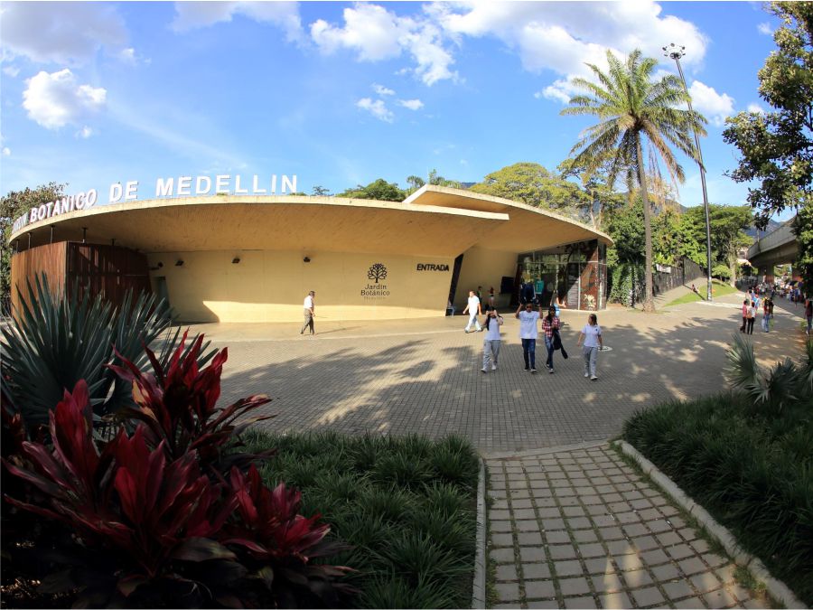 De paseo por Medellín en Semana Santa! Descubre las mejores opciones para visitar y disfruta de la ciudad de la Eterna Primavera 12 Jardín botánico de Medellín