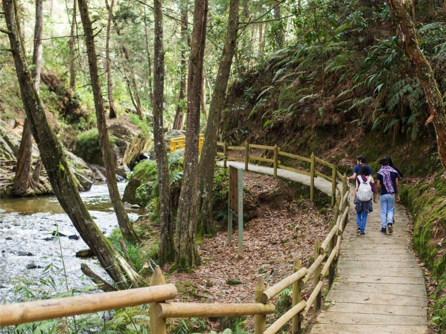 De paseo por Medellín en Semana Santa! Descubre las mejores opciones para visitar y disfruta de la ciudad de la Eterna Primavera 11 Parque Arví