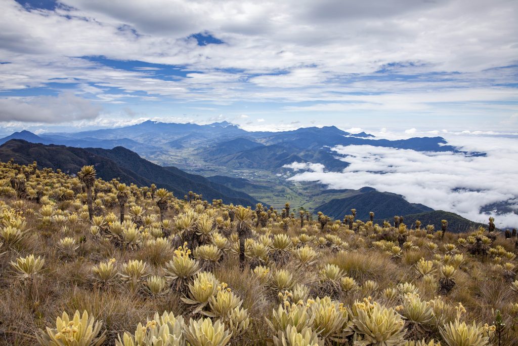 Cómo es el verdadero Urrao el paraíso perdido de Antioquia y pueblo natal de Rigo 6 Paramo del Sol Urrao Jorge Porras 1024x683 1