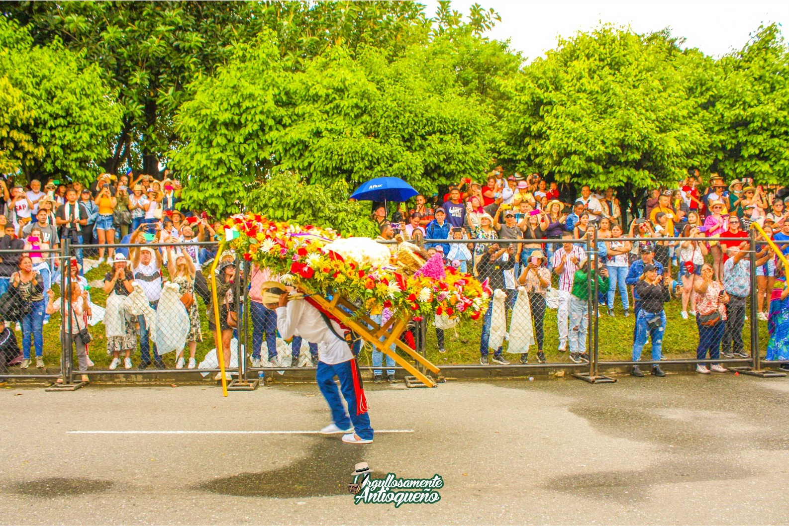 ¿Cuáles son los mejores planes para disfrutar de la Feria de las Flores en Medellín? 3 298674732 2353214654826764 5658898178102883700 n