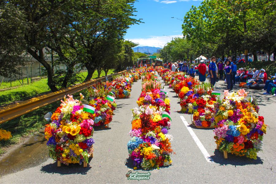 Desfile de silleteros 2024