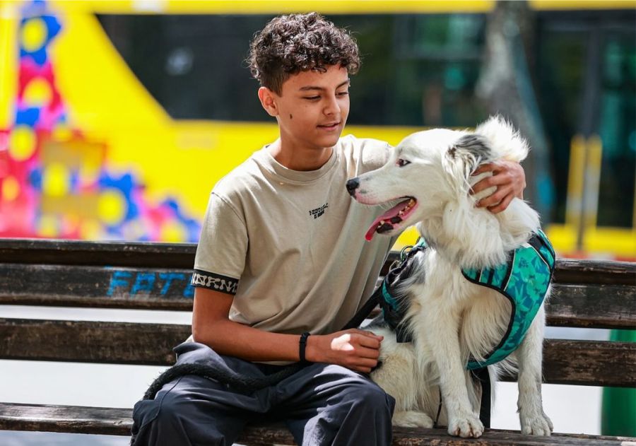 Conozca el joven antioqueño de 14 años que ya genera empleos por medio de su app para el cuidado de mascotas "Terque" 2 Joven creador de aplicacion para cuidado de mascotas Terque