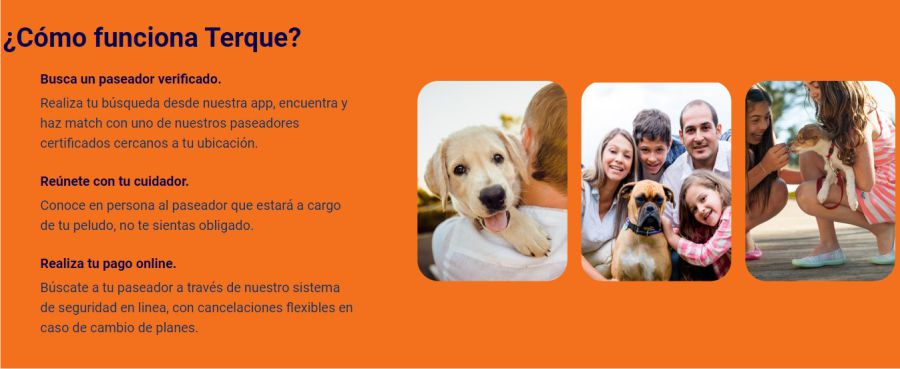 Conozca el joven antioqueño de 14 años que ya genera empleos por medio de su app para el cuidado de mascotas "Terque" 3 Terque