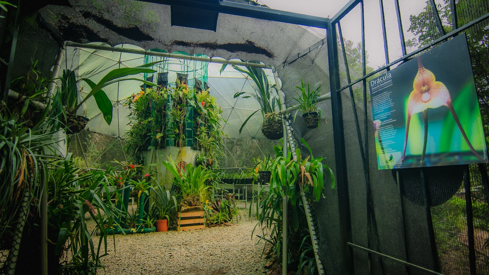 El Parque Arví es el destino turístico de naturaleza más visitado en Medellín 2 Parque Arvi