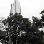El edificio más alto en Medellín: La historia del gigante que toca el cielo y se convirtió en símbolo de la ciudad 14 Edificio Coltejer de Medellin