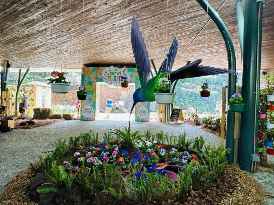 El Parque Arví en la feria de las flores recibe la hermosa tradición silletera 2 Feria de flores en el arvi