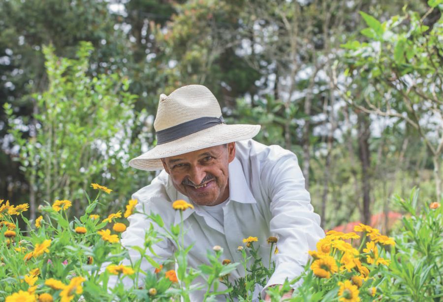 Finca Silletera El Porvenir