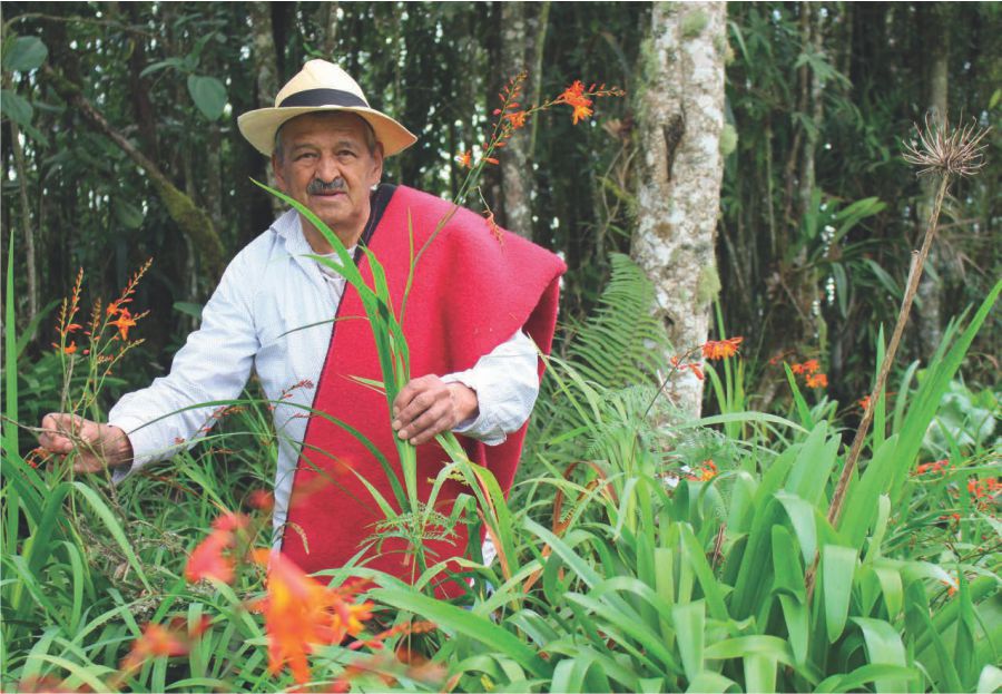 Finca Silletera Mi Jardin