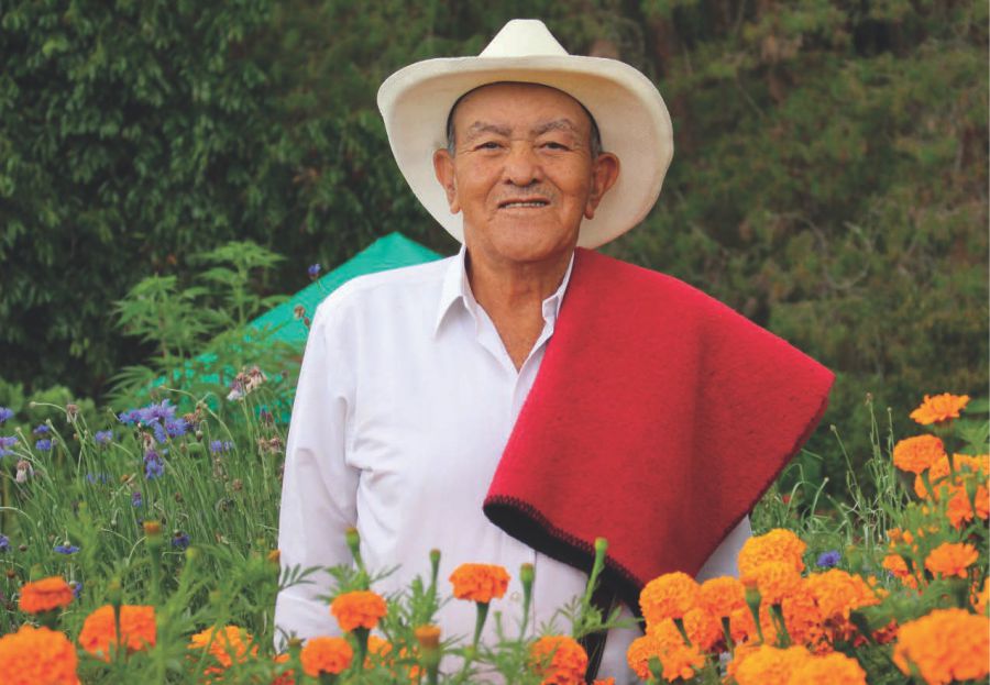 Fonda y Finca Silletera La Suculenta