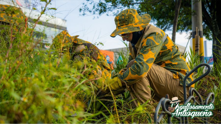 Medellin vuelve a ser la tacita de plata y genera empleos