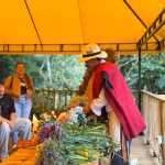 Familia silletera de Santa Elena trabajando entre flores para preservar la cultura silletera en Medellín