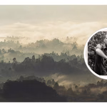 Exposición El bosque es el diván en Valparaíso con fotografías de aves
